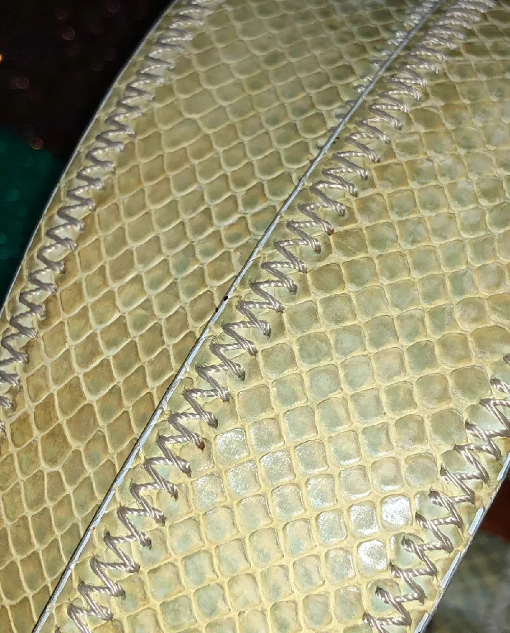 REAL Python Snakeskin Belt - Agatha Herbs