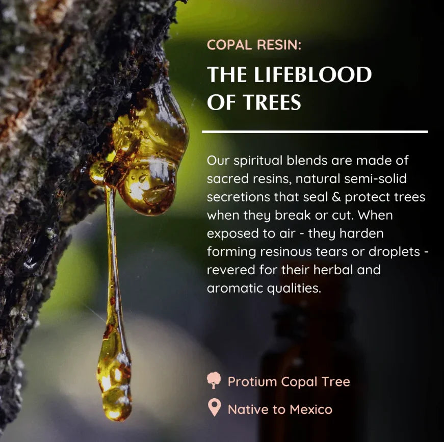 Copal Essential Oil - 10ml - Agatha Herbs