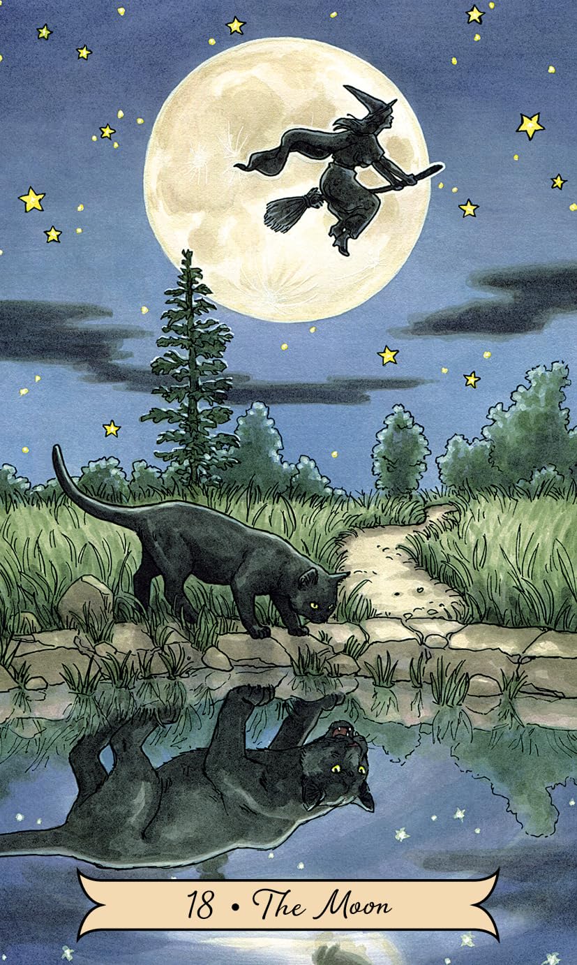 Black cat and witch on a broomstick under a full moon with stars, reflected in water. Tarot card