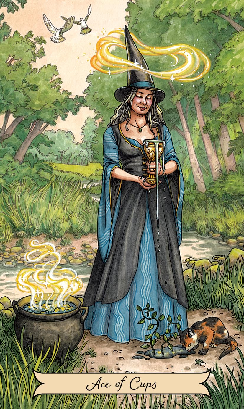 Tarot card featuring a witch in a forest with a cauldron and a cat, labeled 'Ace of Cups'.