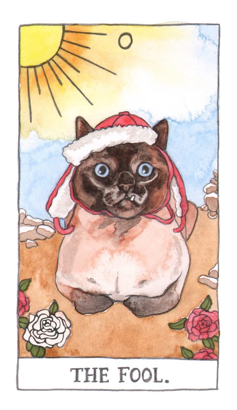 cat tarot card
