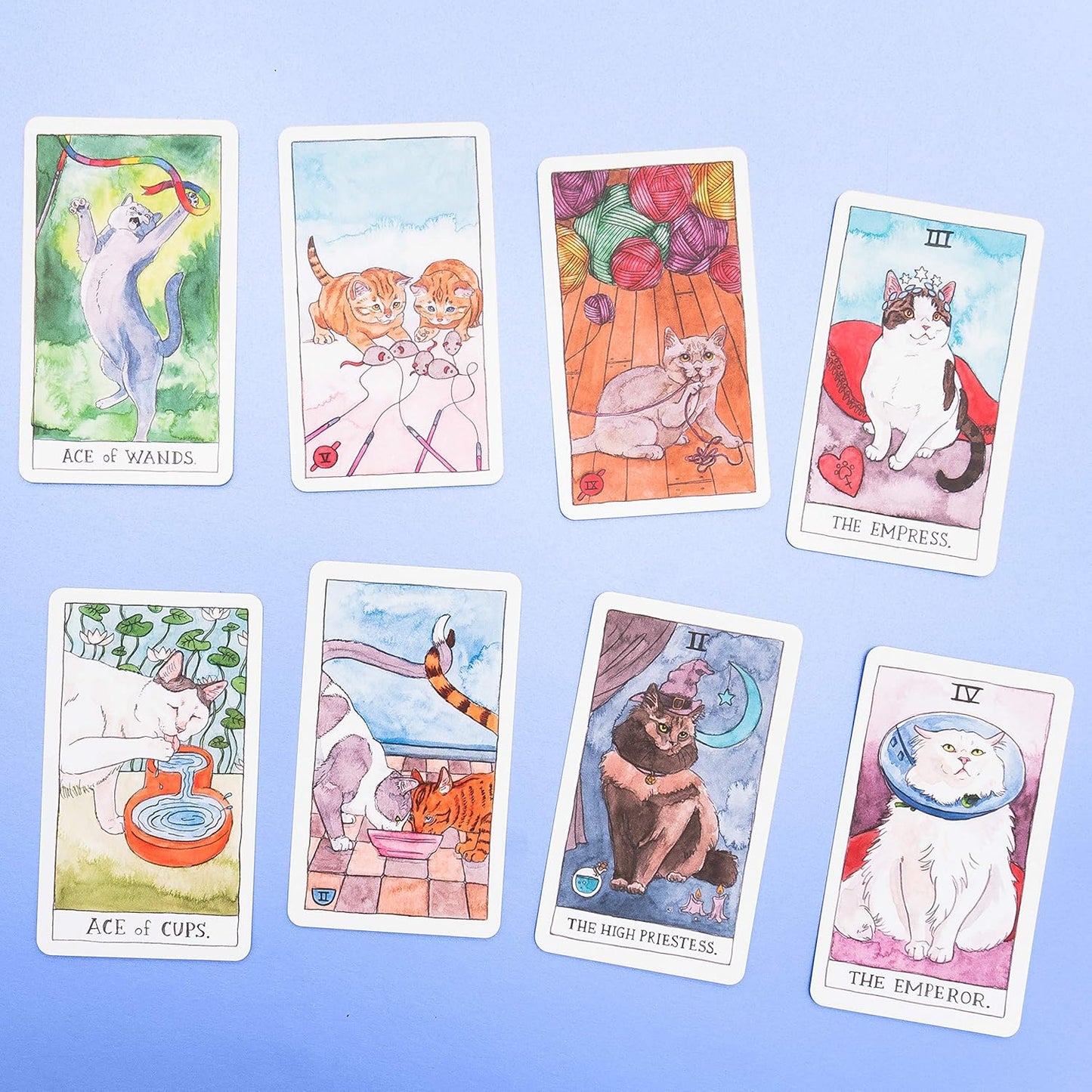 cat tarot cards