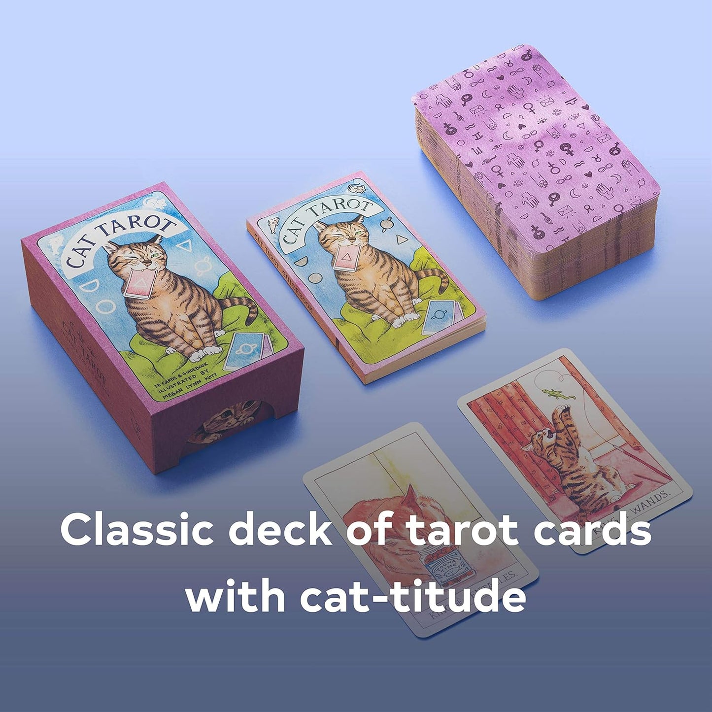 tarot cards cat