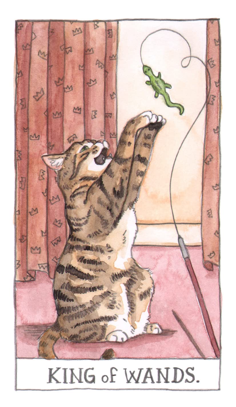 tarot cards king of wands